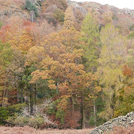 Beech Villa Ulverston Eksteriør billede