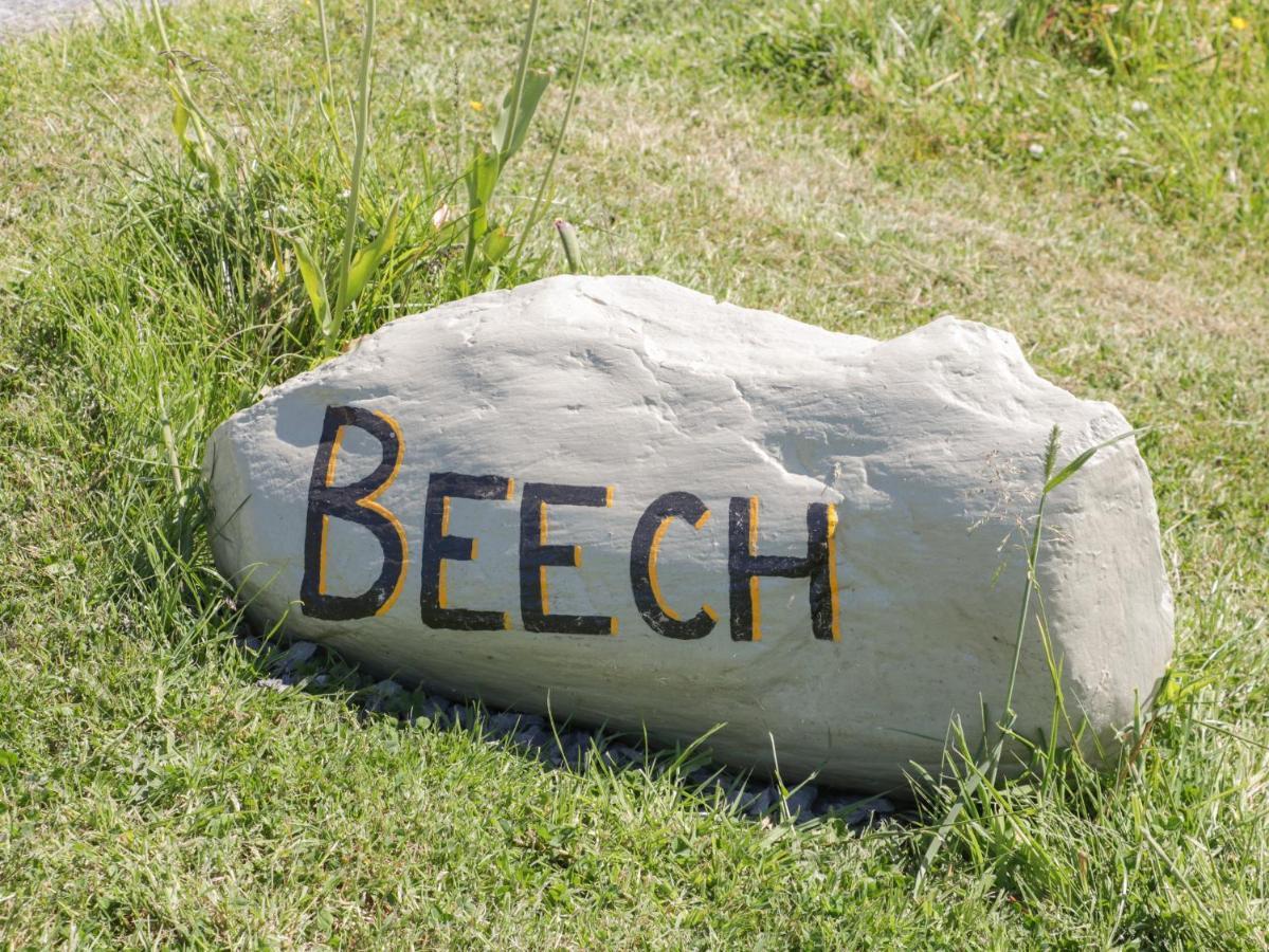Beech Villa Ulverston Eksteriør billede