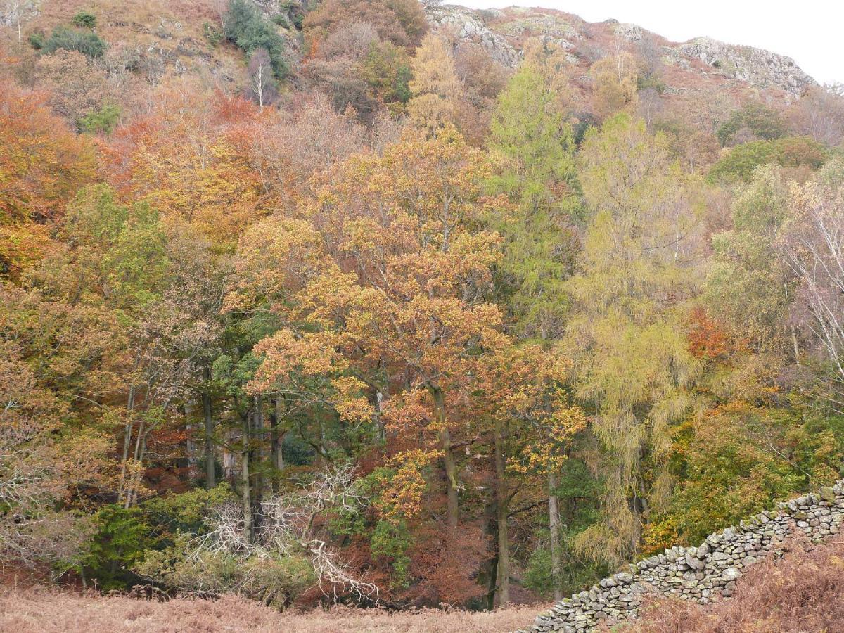 Beech Villa Ulverston Eksteriør billede
